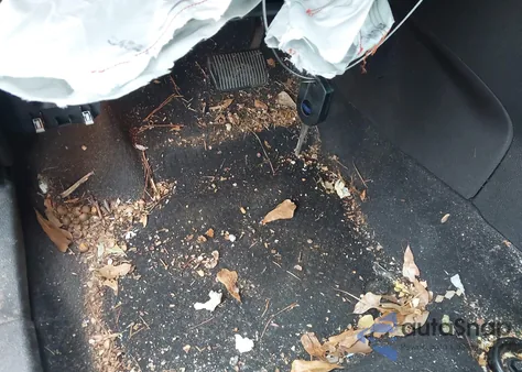 2015 Ford Focus Se from USA, damaged, VIN 1FADP3F29FL353891